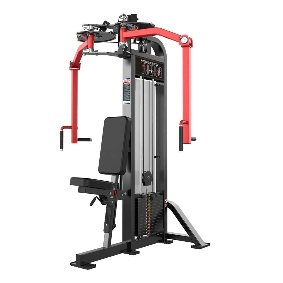 Chest and Shoulders - Gym Store