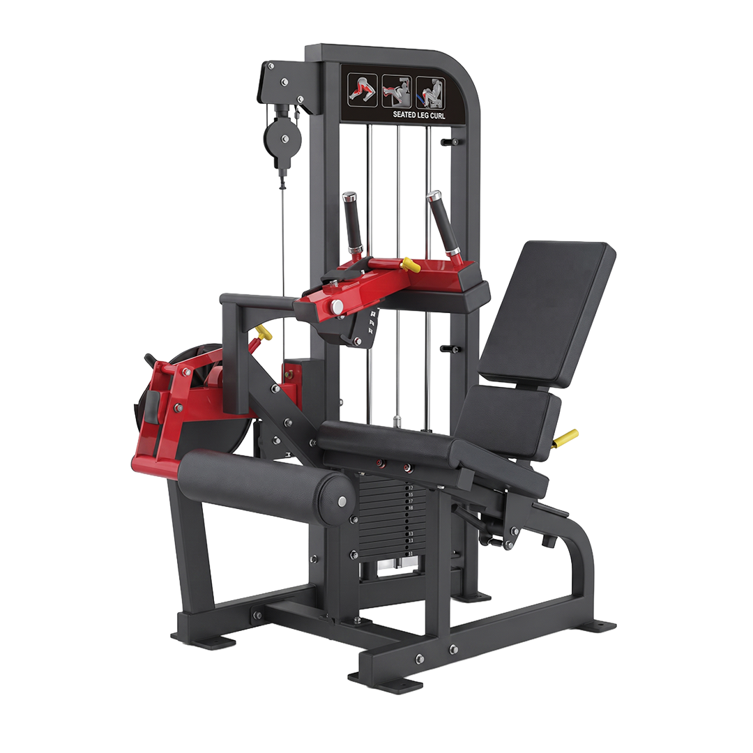 Legs - Gym Store