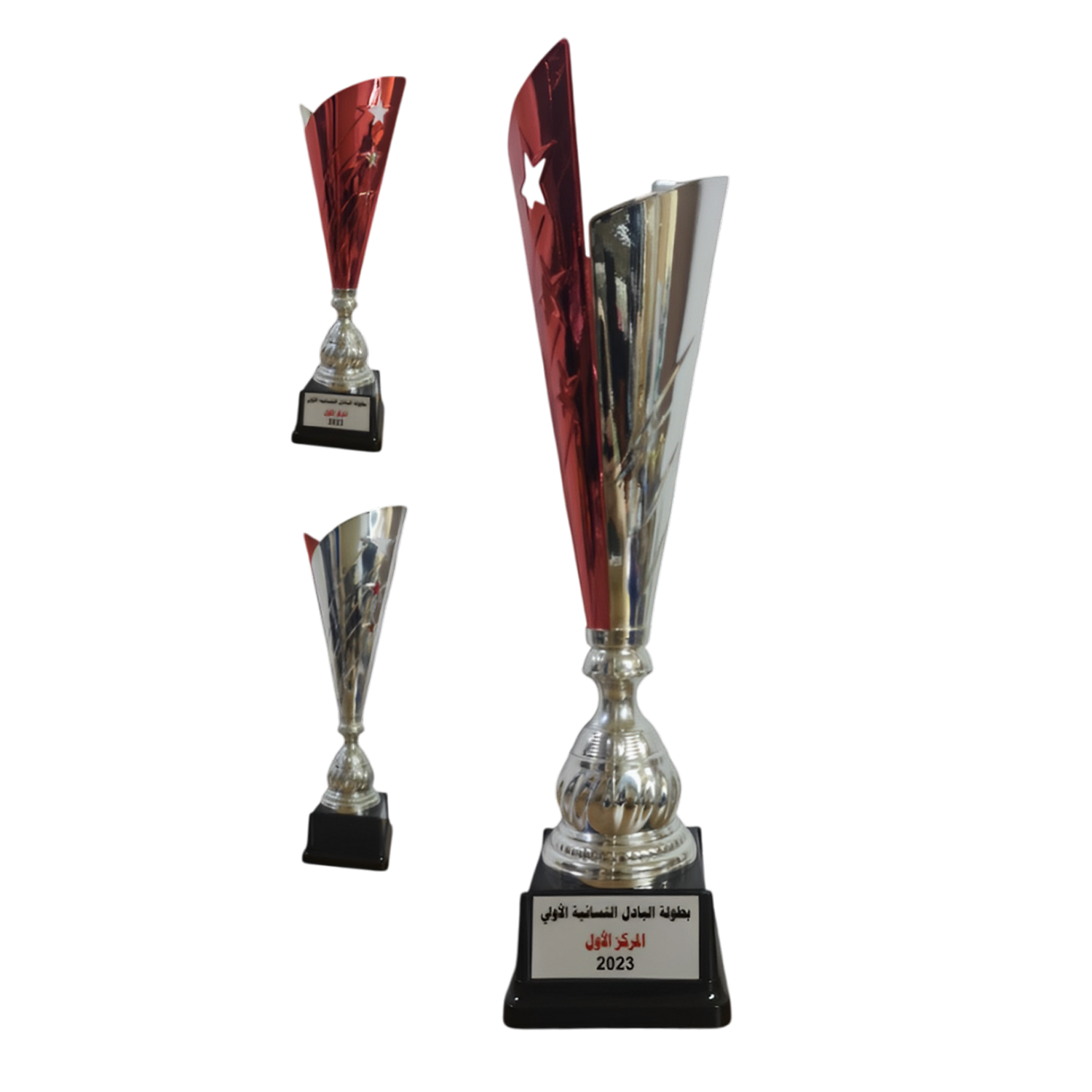 Sports Honors cup2