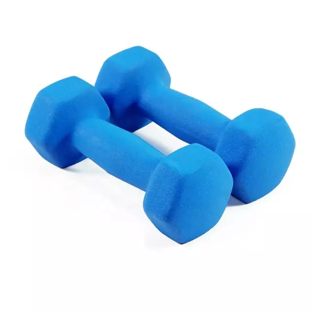 Dumbbell (pair)