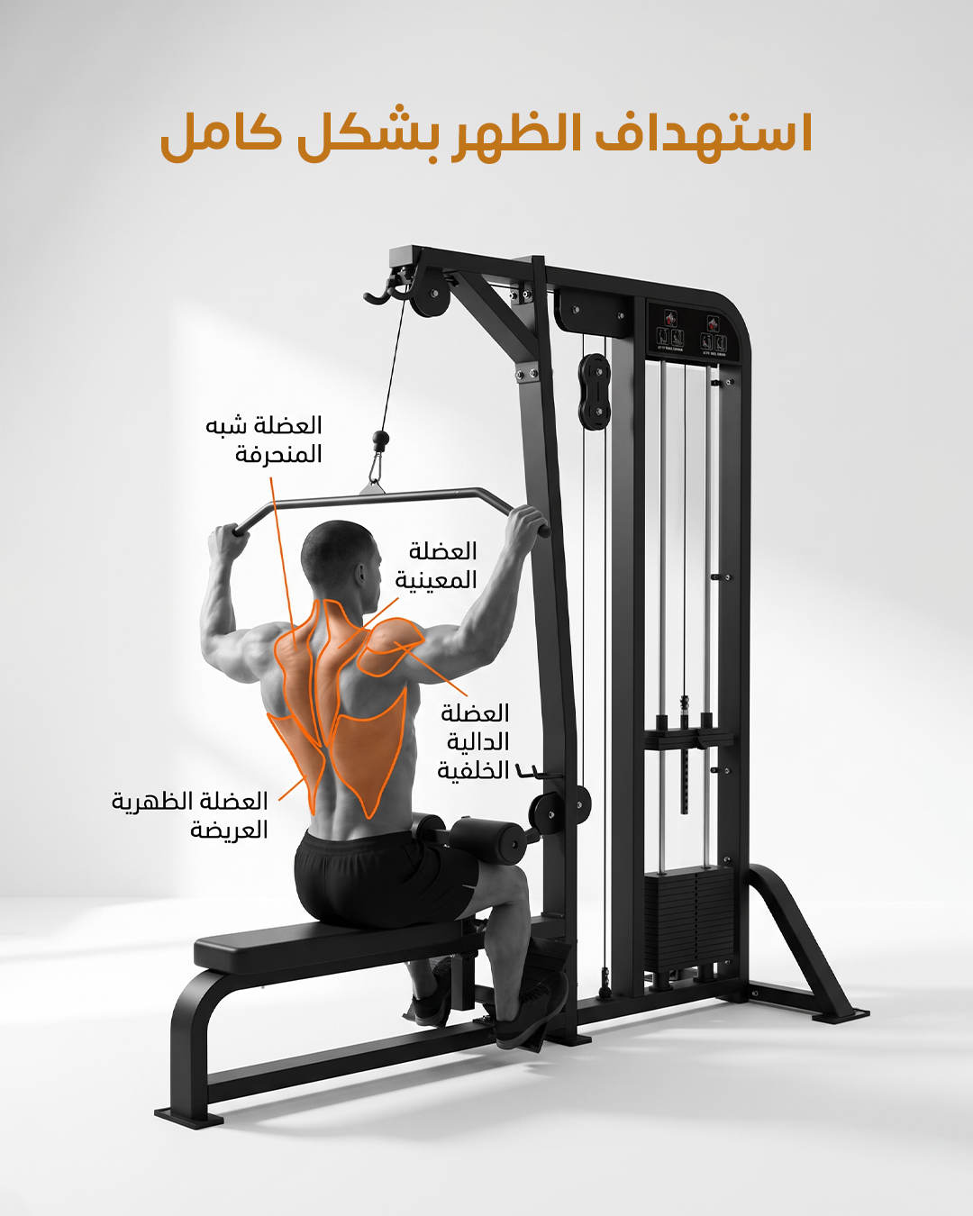 Lat pull down low row 