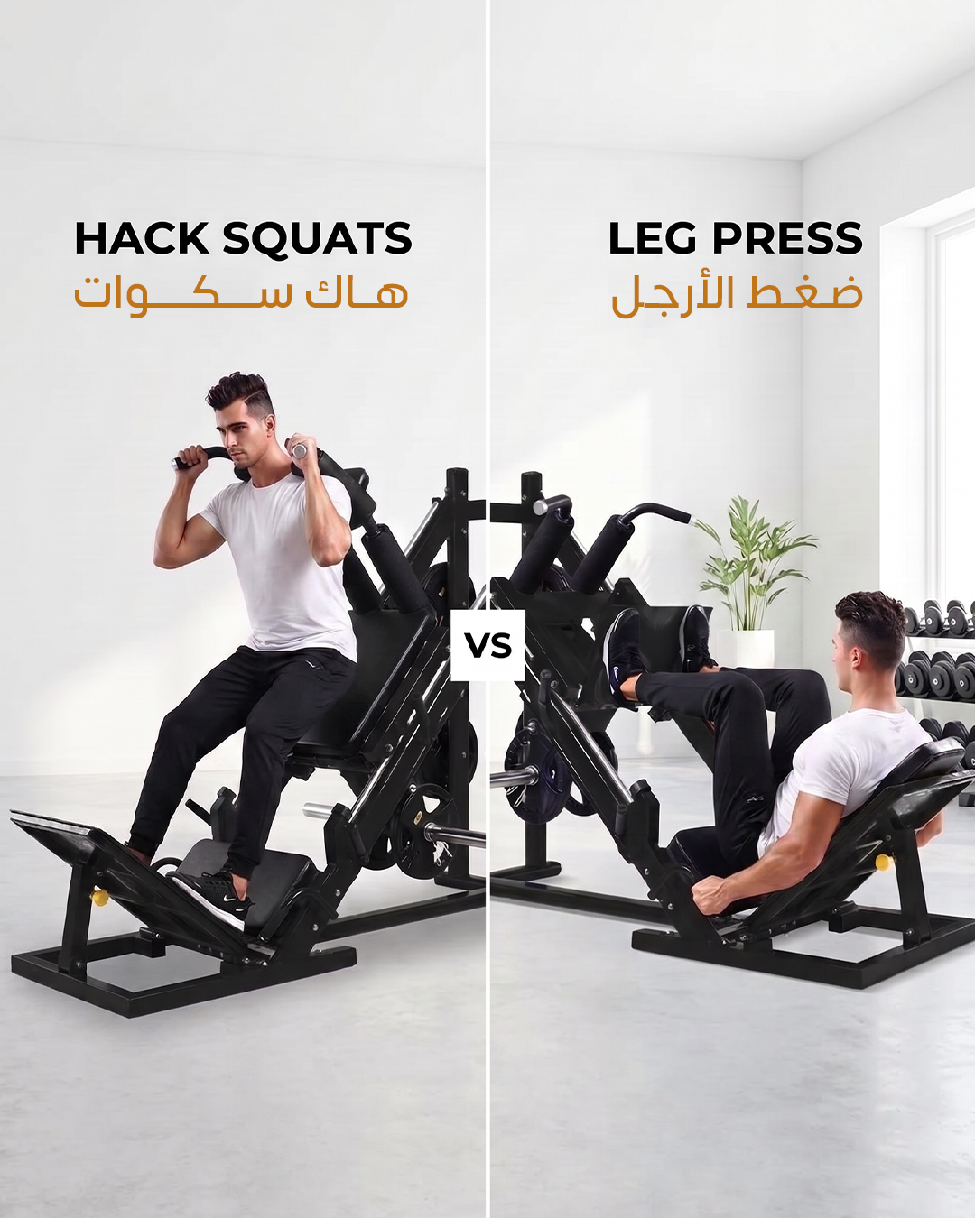 Leg press and hack squats machine 