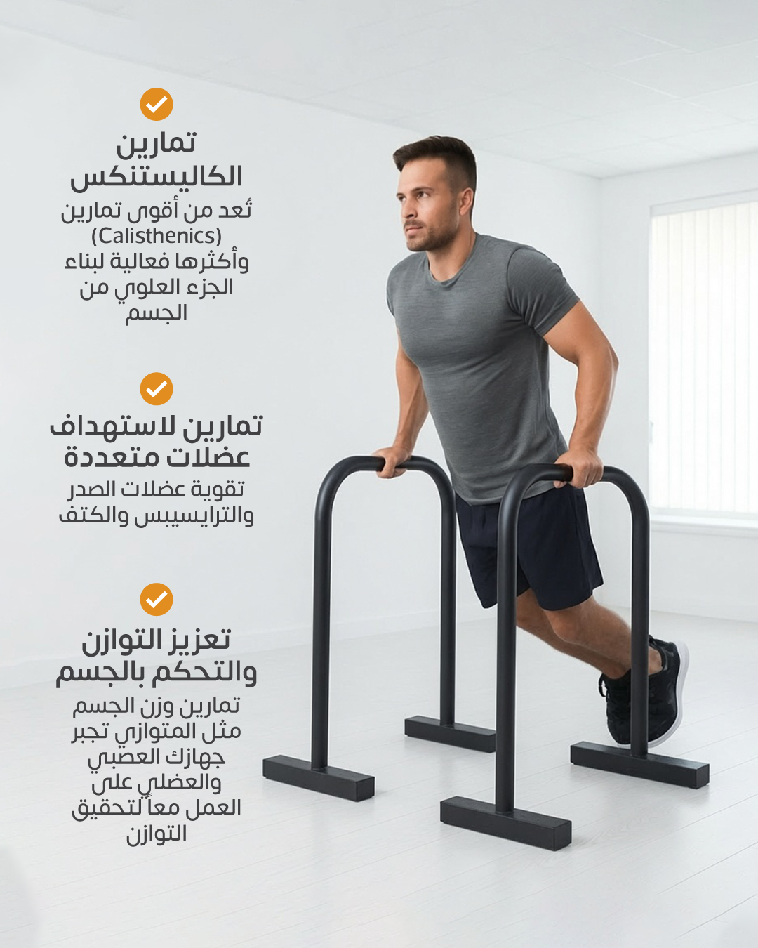 Parallel Bar Dip station