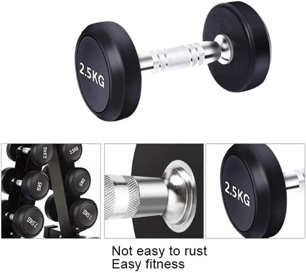 Dumbbells 2.5kg to 25kg - Gym Store