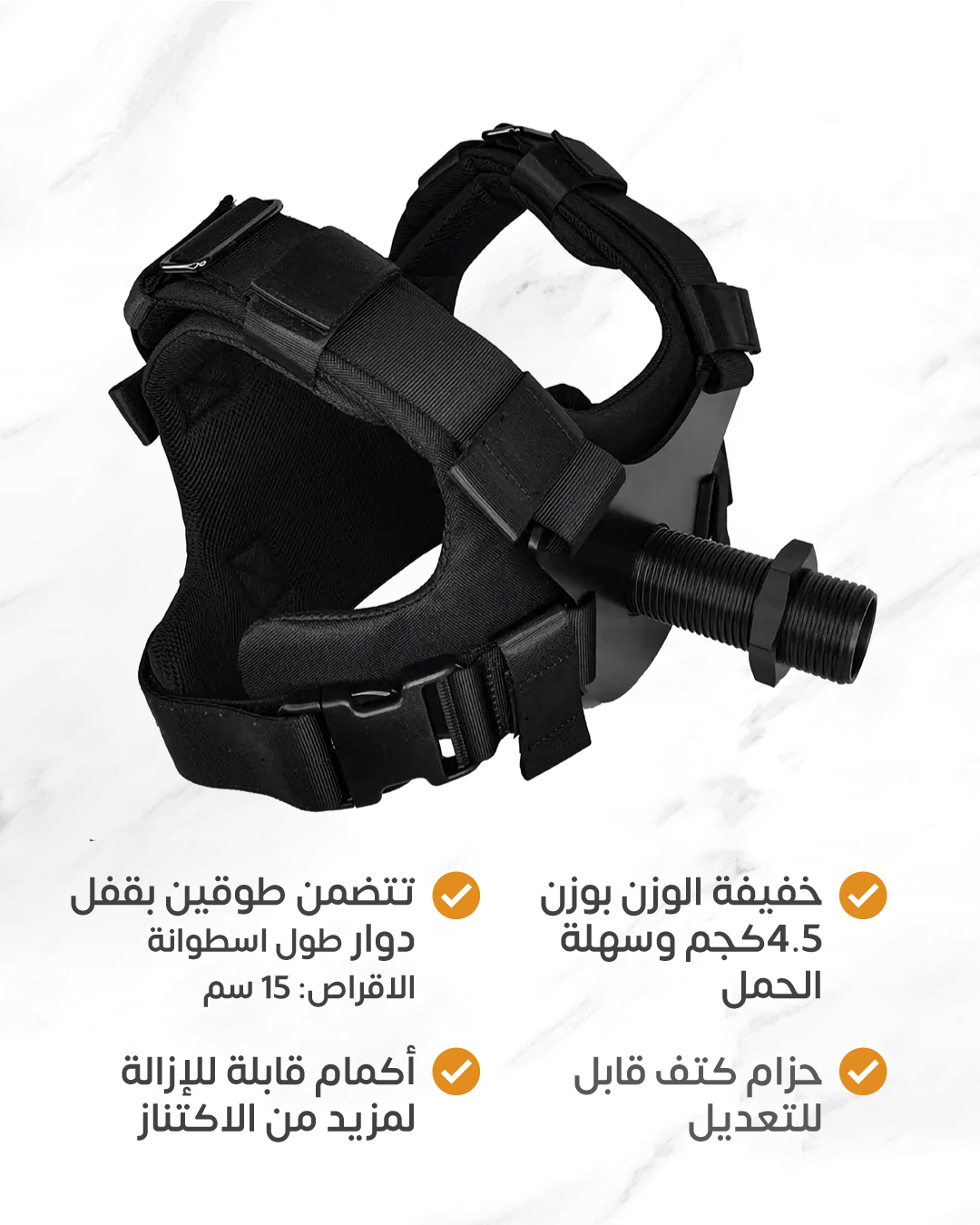 Loadable weight vest