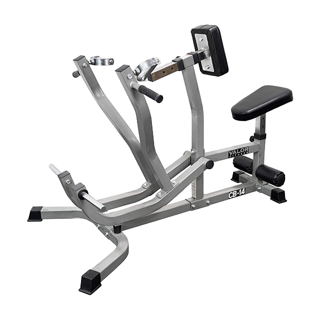 back and Latissimus