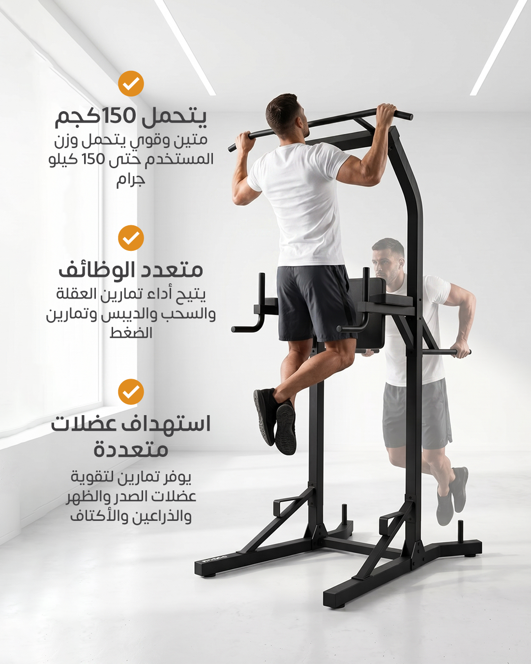 Pull ups and Dips station 
