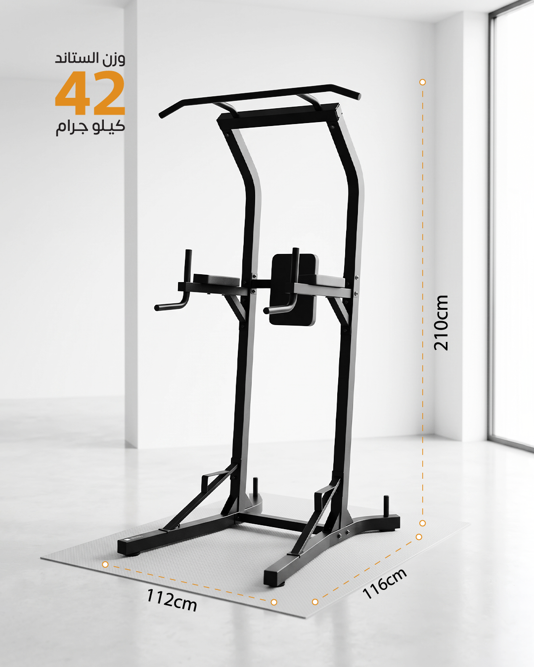 Pull ups and Dips station 