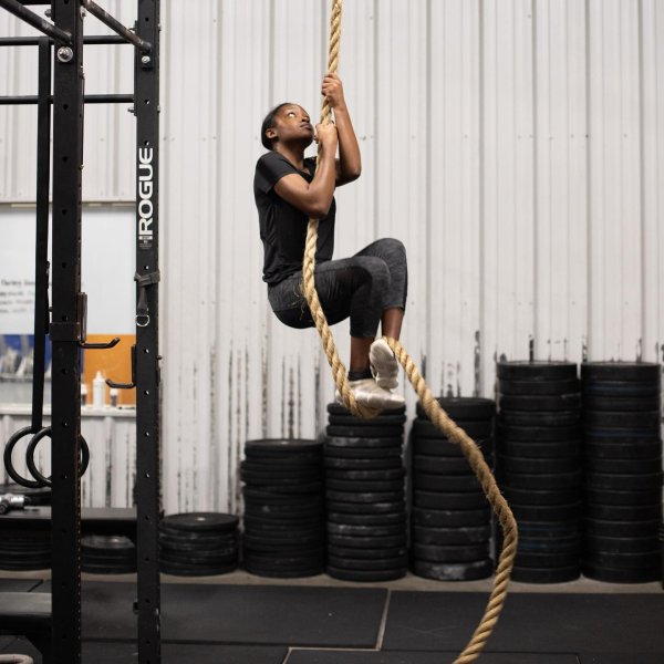 Rogue Climbing Rope - Gym Store
