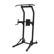 Pull ups and Dips station 