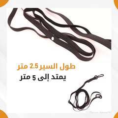 Football Training Belt