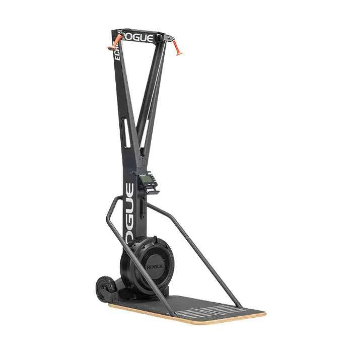 Rogue Echo SKI