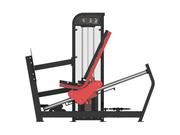 leg press (120kg)