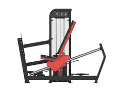 leg press (120kg)