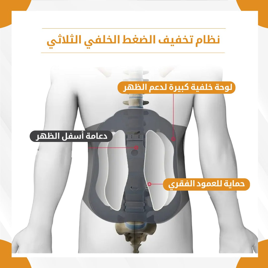 Waist and back belt - Gym Store