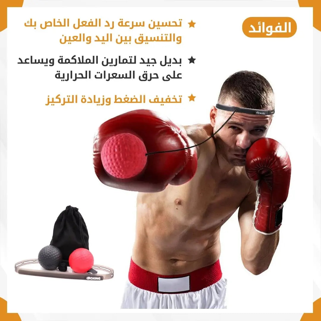 Boxing speed ball