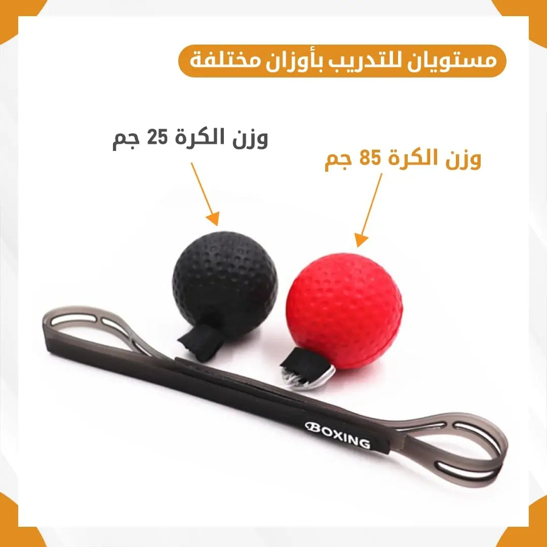 Boxing speed ball