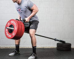 Rogue Parallel Landmine Handle