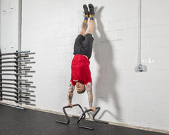 Rogue Formed Parallette Set