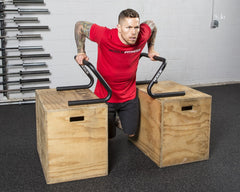 Rogue Formed Parallette Set