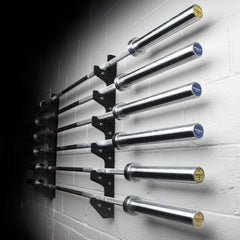 Rogue V2 Gun Rack