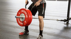 Rogue Angled Landmine Handle