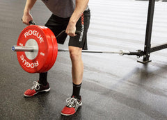 Rogue Angled Landmine Handle