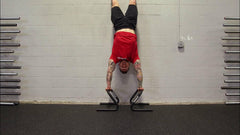 Rogue Formed Parallette Set